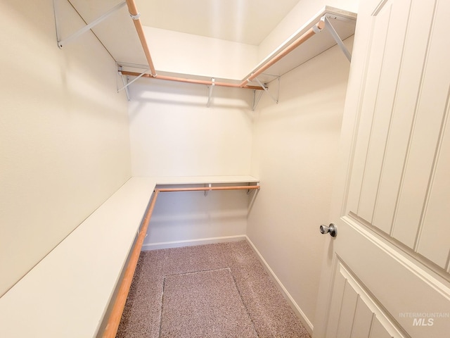 spacious closet with carpet