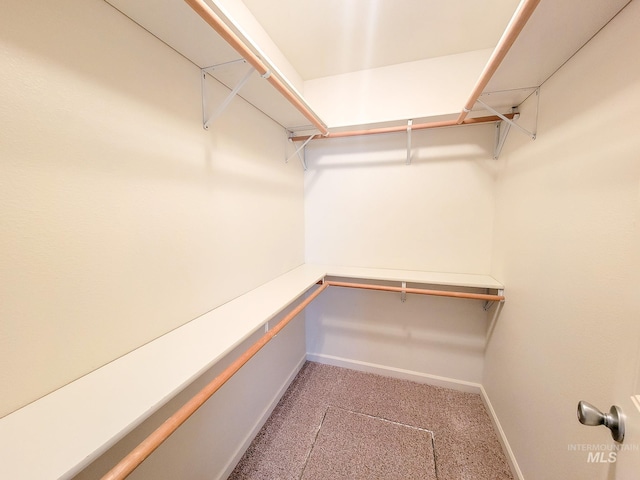 spacious closet with carpet flooring