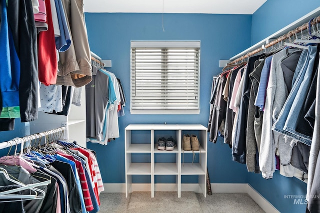 walk in closet with carpet floors