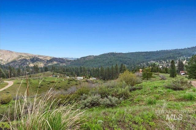 53 Deadmans Gulch, Boise, ID 83716