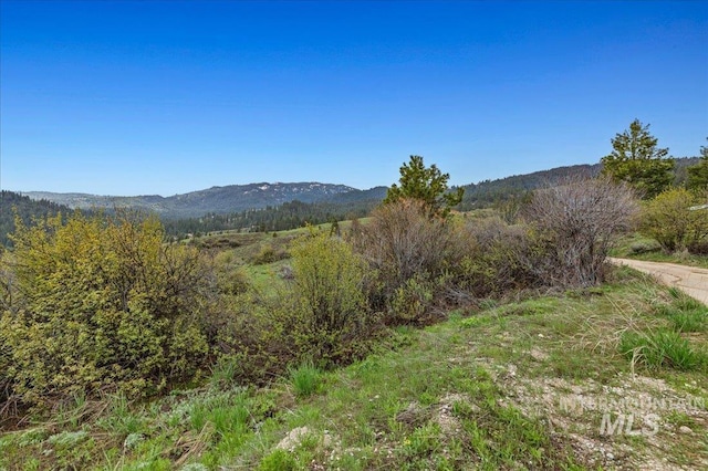 53 Deadmans Gulch, Boise, ID 83716