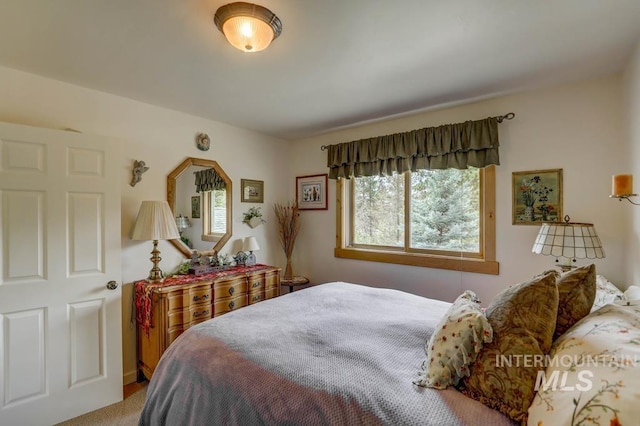 bedroom featuring carpet