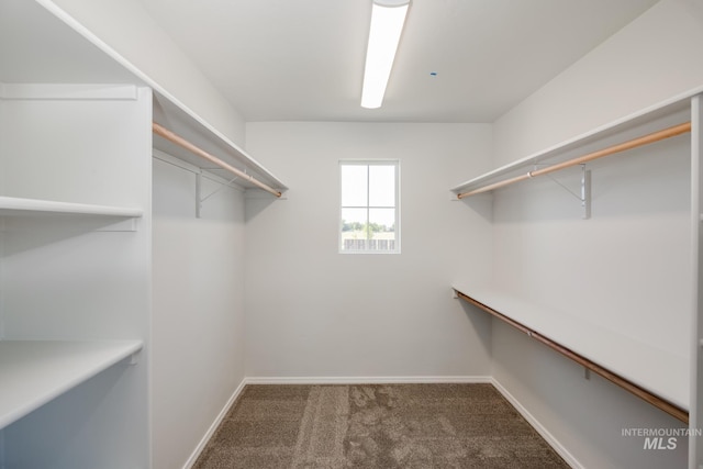 spacious closet with carpet flooring