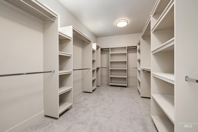 spacious closet featuring light colored carpet
