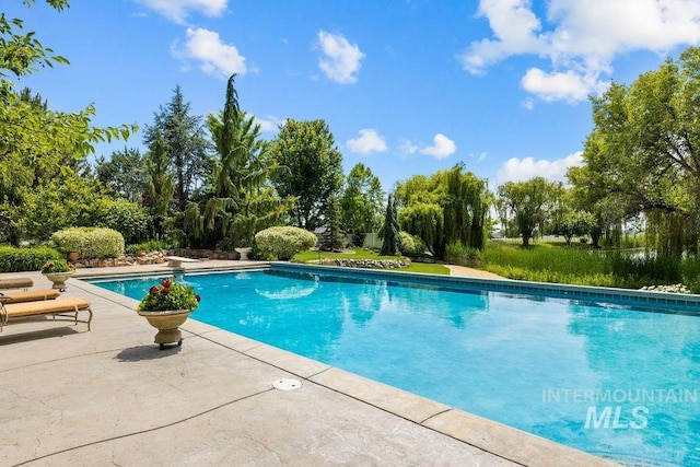 4119 N Park Ln, Eagle, ID 83616 - swimming pool featuring a patio, view of wooded area, and a diving board