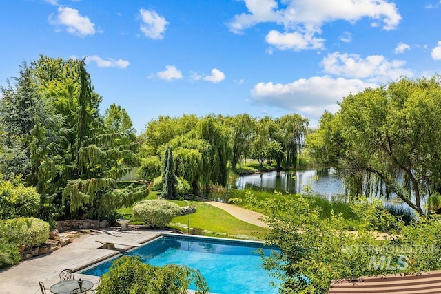 4119 N Park Ln, Eagle, ID 83616 - swimming pool featuring a water view, view of scattered trees, a diving board, and a patio area