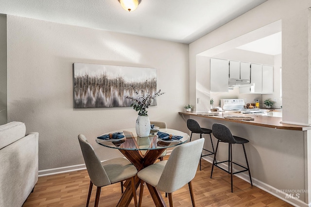 dining room with light hardwood / wood-style flooring