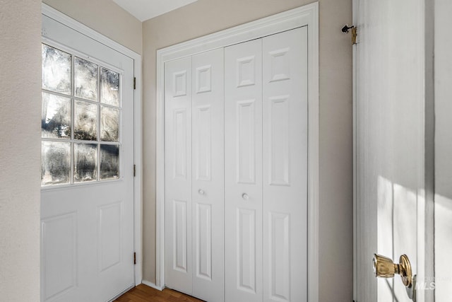 entryway featuring dark hardwood / wood-style flooring and plenty of natural light