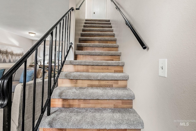 staircase featuring carpet flooring