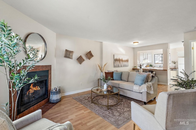 living room featuring a fireplace and light hardwood / wood-style flooring