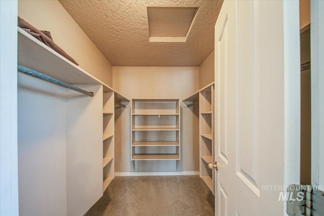1239 Willow Creek Dr, Nampa, ID 83686 - walk in closet with carpet and attic access