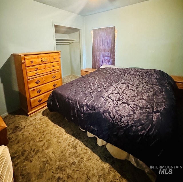 carpeted bedroom featuring a closet