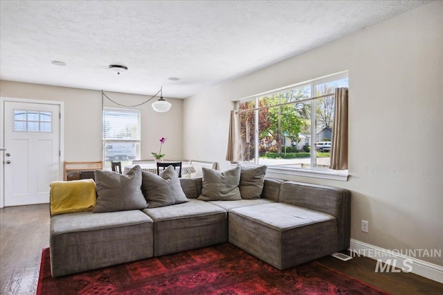 living area featuring baseboards, a textured ceiling, plenty of natural light, and wood finished floors
