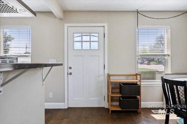 foyer entrance featuring baseboards, dark wood-style flooring, and a wealth of natural light