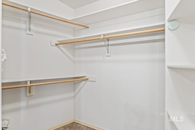 1548 N Vineyards Ave, Meridian, ID 83642 - spacious closet with carpet floors