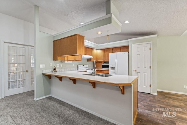 1548 N Vineyards Ave, Meridian, ID 83642 - kitchen with white appliances, under cabinet range hood, a peninsula, a textured ceiling, and baseboards