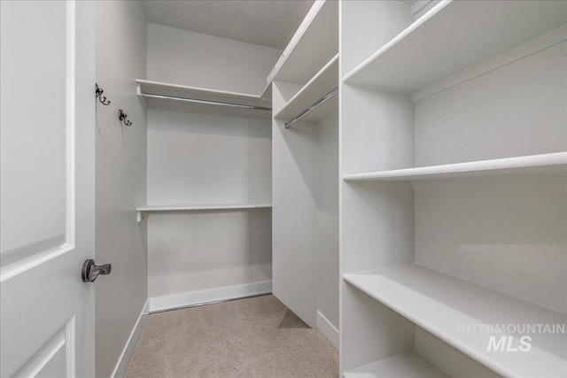 1438 N Cole Cottage Ln, Boise, ID 83704 - walk in closet featuring carpet flooring