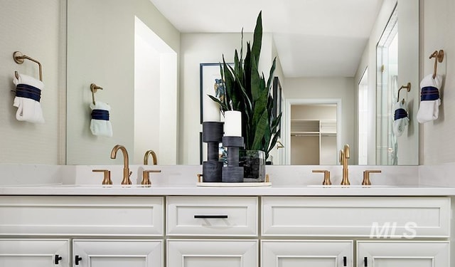 bathroom with double vanity, walk in shower, and a sink