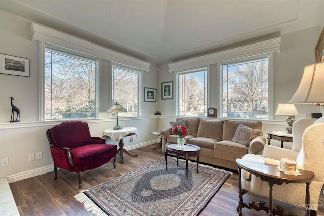 living area with a healthy amount of sunlight and hardwood / wood-style floors