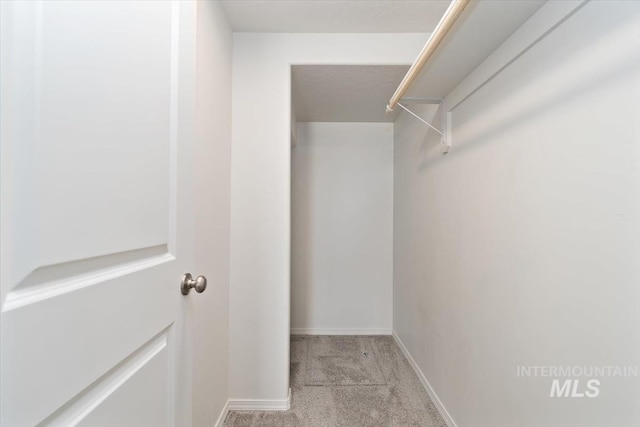 spacious closet featuring carpet floors