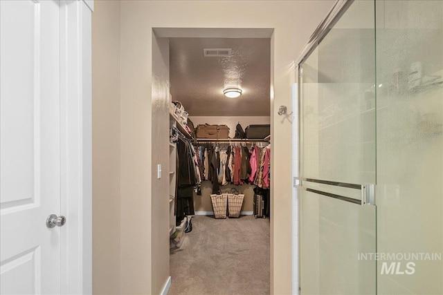 1123 Drexel Hill Ave, Caldwell, ID 83605 - walk in closet with carpet