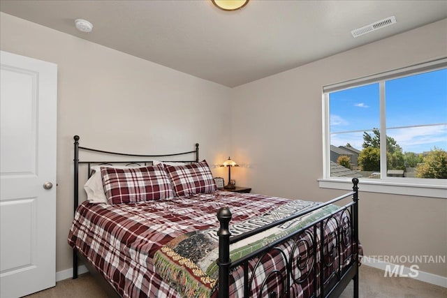 1123 Drexel Hill Ave, Caldwell, ID 83605 - carpeted bedroom with baseboards