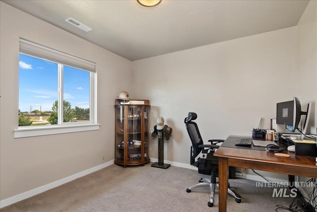 1123 Drexel Hill Ave, Caldwell, ID 83605 - office area featuring carpet and baseboards