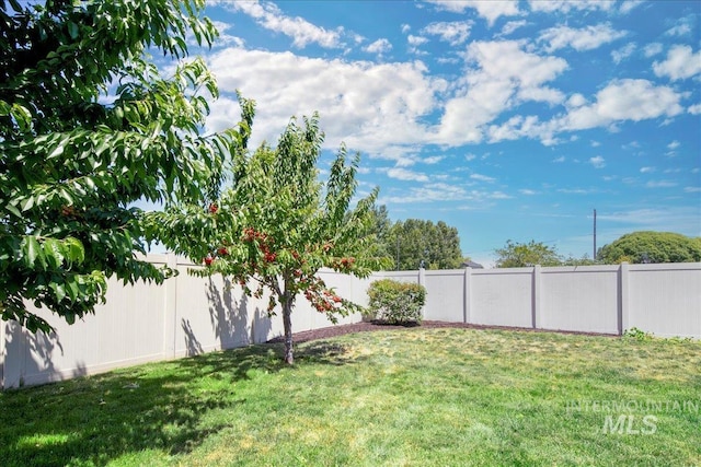 1123 Drexel Hill Ave, Caldwell, ID 83605 - view of yard