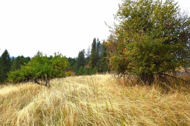 1489 Woodland Rd, Kamiah, ID 83536