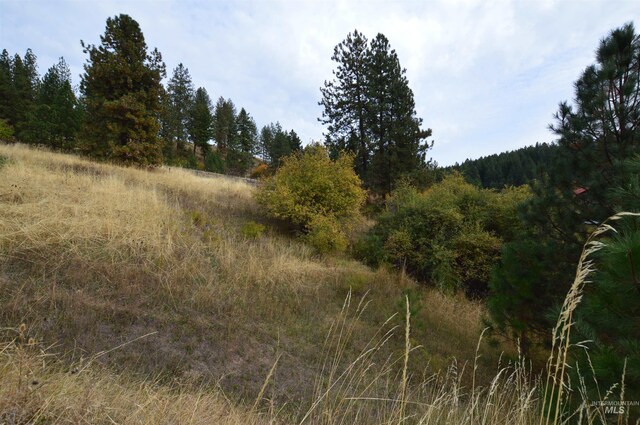 1489 Woodland Rd, Kamiah, ID 83536