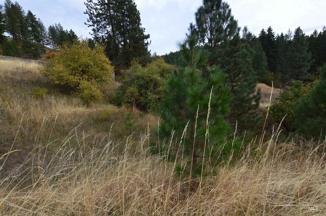 1489 Woodland Rd, Kamiah, ID 83536