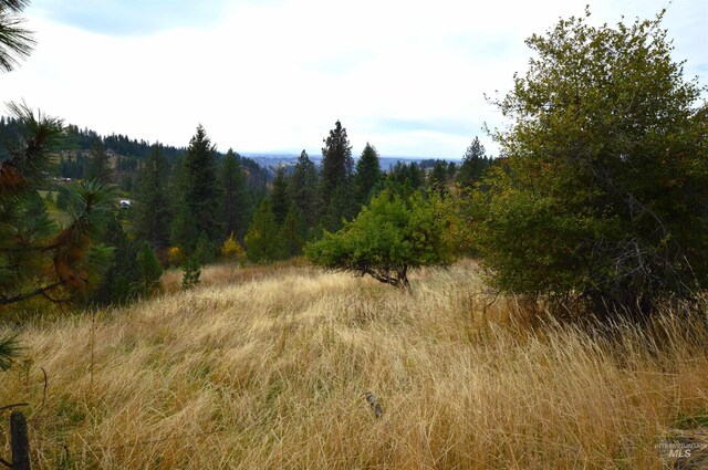 1489 Woodland Rd, Kamiah, ID 83536
