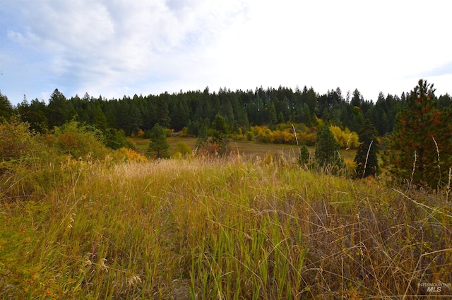 1489 Woodland Rd, Kamiah, ID 83536