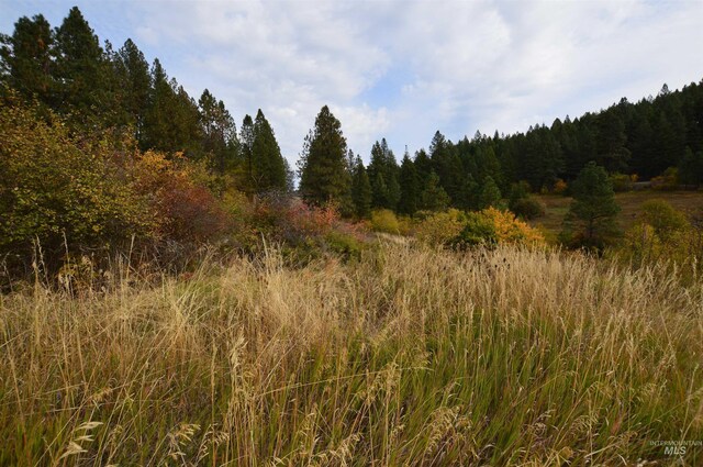 1489 Woodland Rd, Kamiah, ID 83536