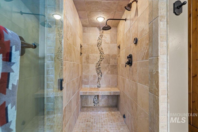 370 Blackhawk Lake Dr, Mccall, ID 83638 - bathroom featuring a shower stall