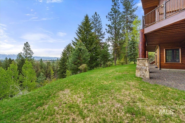 370 Blackhawk Lake Dr, Mccall, ID 83638 - view of green lawn