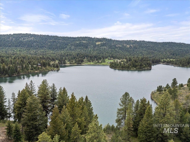 370 Blackhawk Lake Dr, Mccall, ID 83638 - water view with a forest