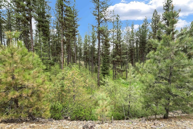 LOT6BLOCK1 Van Dorn Ests, New Meadows, ID 83654