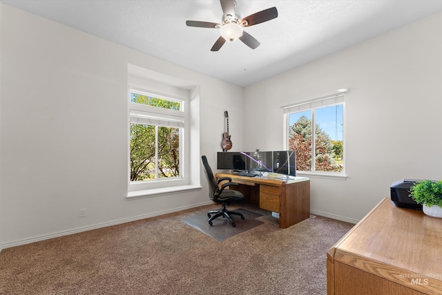 4019 E Man O War Dr, Nampa, ID 83686 - carpeted office with healthy amount of natural light and ceiling fan