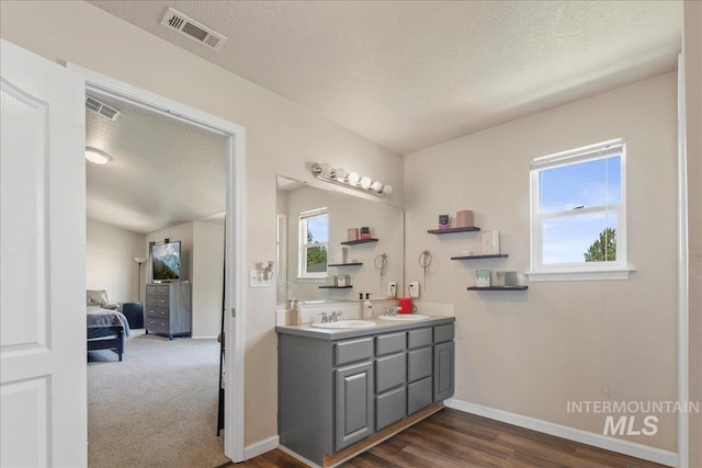 9308 W Rustica Dr, Boise, ID 83709 - ensuite bathroom with double vanity, a textured ceiling, and wood finished floors