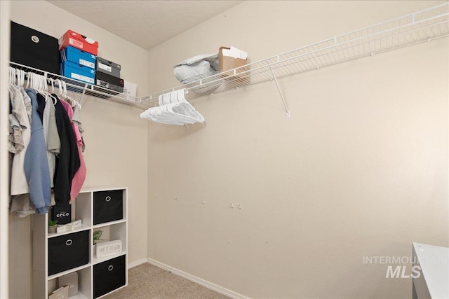9308 W Rustica Dr, Boise, ID 83709 - walk in closet with carpet floors