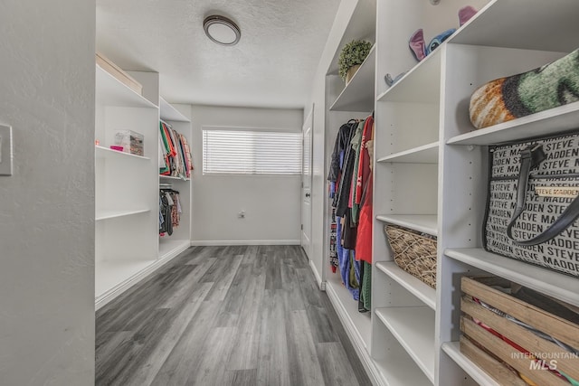 spacious closet with wood finished floors