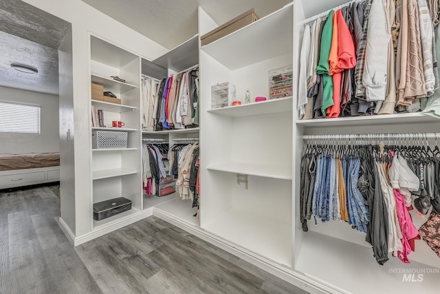 walk in closet featuring wood finished floors