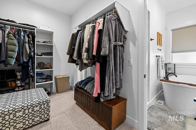 spacious closet featuring carpet