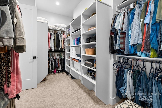 spacious closet featuring carpet floors