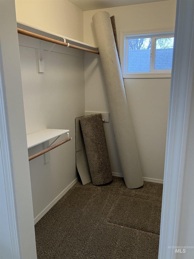 spacious closet with carpet floors