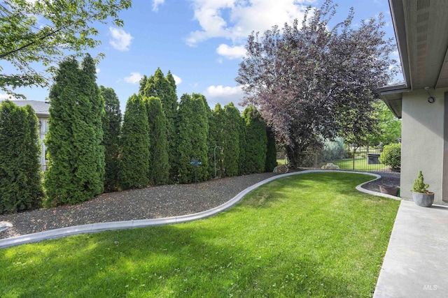 1747 N Tuscolano Ave, Eagle, ID 83616 - view of yard