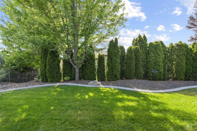 1747 N Tuscolano Ave, Eagle, ID 83616 - view of yard