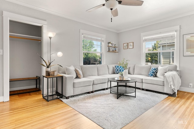907 3rd St, Lewiston, ID 83501 - living room featuring ceiling fan, light wood-type flooring, and ornamental molding