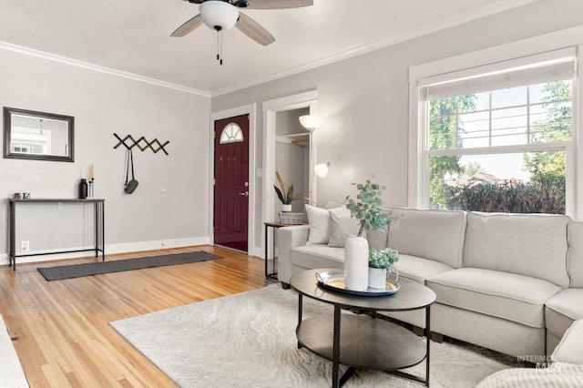 907 3rd St, Lewiston, ID 83501 - living area with ceiling fan, light wood finished floors, and crown molding